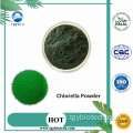 Pure de poudre de chlorella Pure Vulgaris / Chlorella